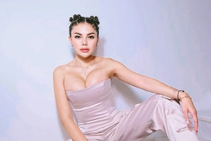 Artis Nikita Mirzani. (Instagram.com/@nikitamirzanimawardi_172)

