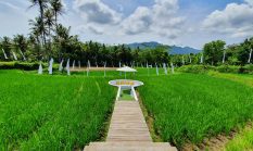 Menjaga Lingkungan di Musim Kemarau, Tanggung Jawab Bersama